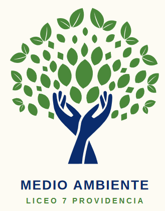 ambiente20242024