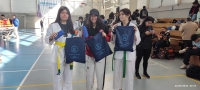 Campeonato Escolar Taekwondo